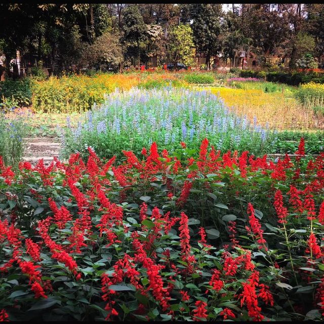 Gulshan Lake Park 