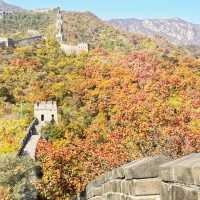 Great Wall in Beijing's Golden Autumn 