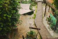 Maharak Cafe | มาหารัก คาเฟ่