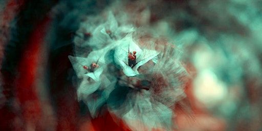 Great Sound Seeks Silence: Chinese Sound Art Exhibition | St. James Hatcham Building, Goldsmiths, University of London