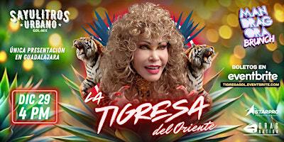 LA TIGRESA DEL ORIENTE en GDL | Sayulitros urbano
