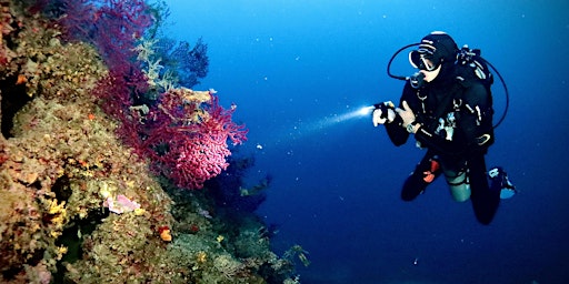 Lezione introduttiva al Corso Open Water Diver SSI | Milan