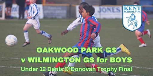 Under 12 Denis O'Donovan Trophy Final | Gallagher Stadium