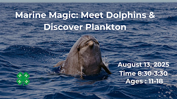 Marine Magic: Meet Dolphins & Discover Plankton | N.C. Cooperative Extension, Currituck County Center