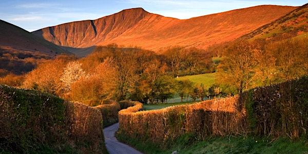 Summit Challenge: Pen Y Fan | Pen y Fan