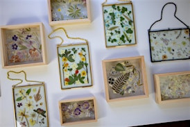 Pressed Flower Frame Workshop | 77 Suffolk St W