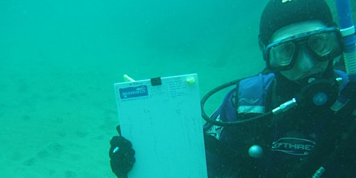 Seasearch Observer Course Saturday 16th May 2026 (2103 + 37040) | Cockcroft Building, University of Brighton