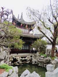 OASIS IN SHANGHAI’s OLD CITY
