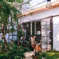 แกะดำทำสวน (Black Sheep Cafe)แพร่