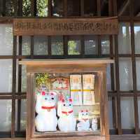 滿滿招財貓🐱日本必去豪徳寺