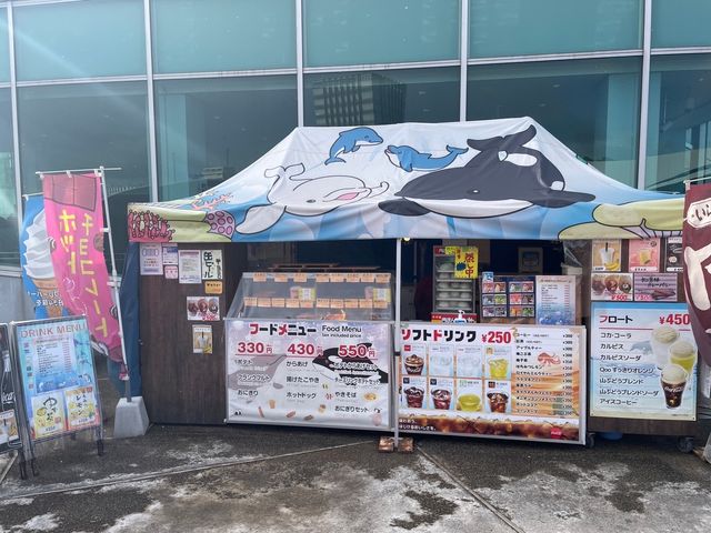 名古屋港水族館といえば🐬【イルカショー】＆名古屋港のレストラン