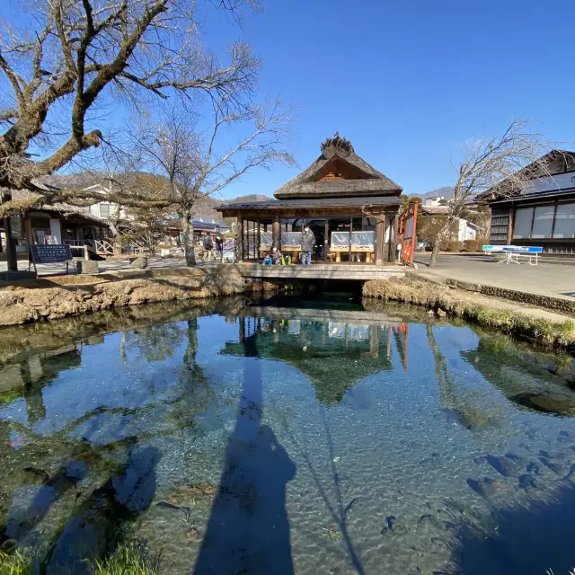 忍野八海・湧池