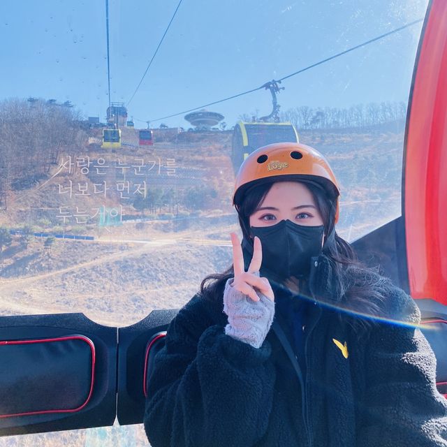 어른아이 모두타기 좋은 액티비티, 루지🚘