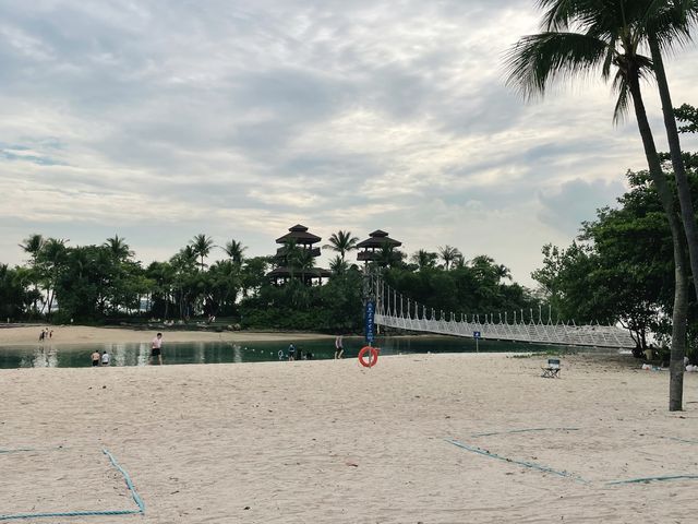 Lazy swing hammocks by the beach