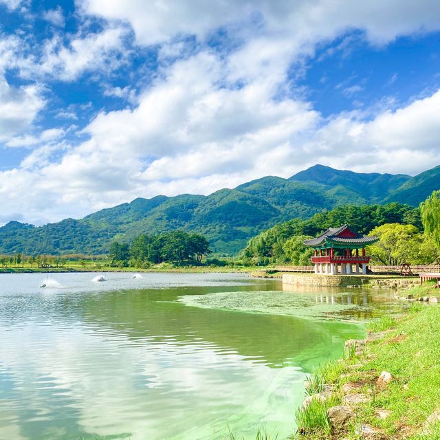 도시락싸서 피크닉 가기좋은 동정호공원 🏞