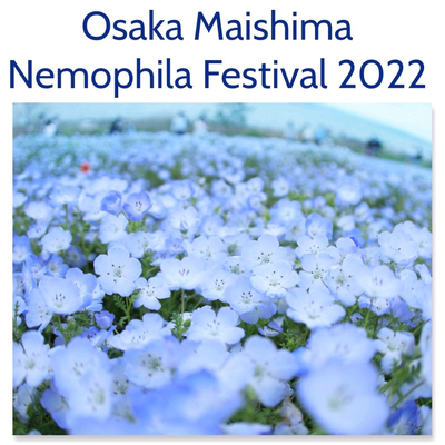 大阪 舞洲 いちめんに広がる青い花はファンタジー Trip Com Osaka Travelogues