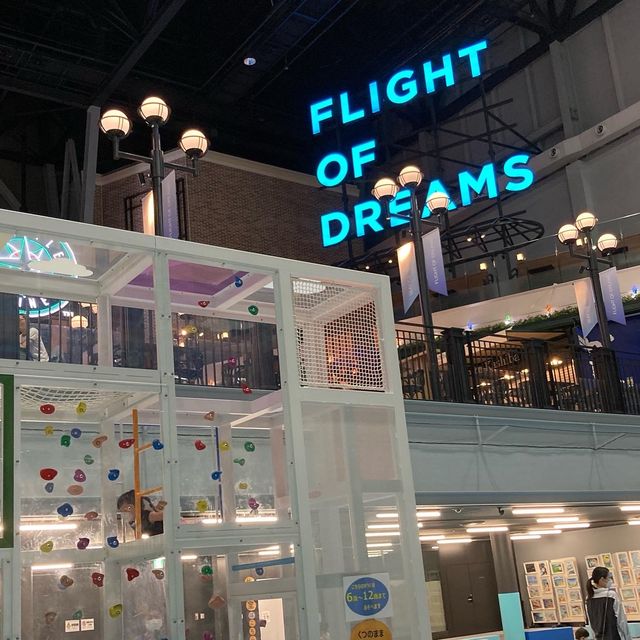 中部国際空港にある　無料遊びスポット　　フライトオブドリームス