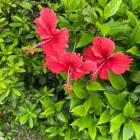 屯門海濱花園