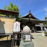 なんじゃもんじゃが満開の5月