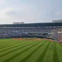 잠실 야구장 시즌 맞춰서 야구는 국룰 ⚾️