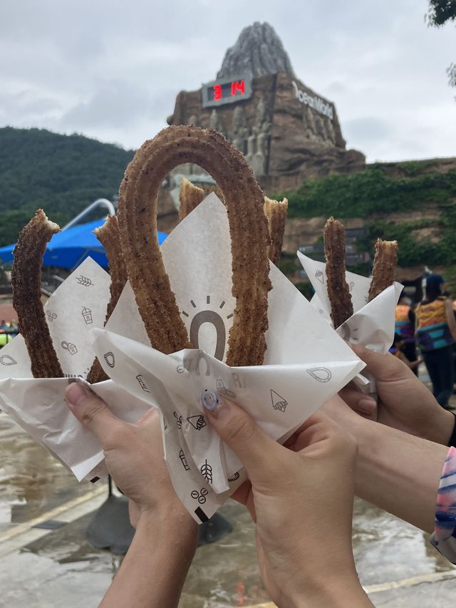 올 여름은 어디? 오션월드로 🏊🏻‍♀️🤿