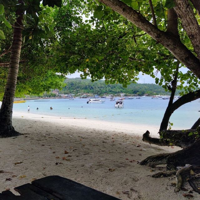 เกาะพีพี (Phi Phi Islands) Krabi Thailand