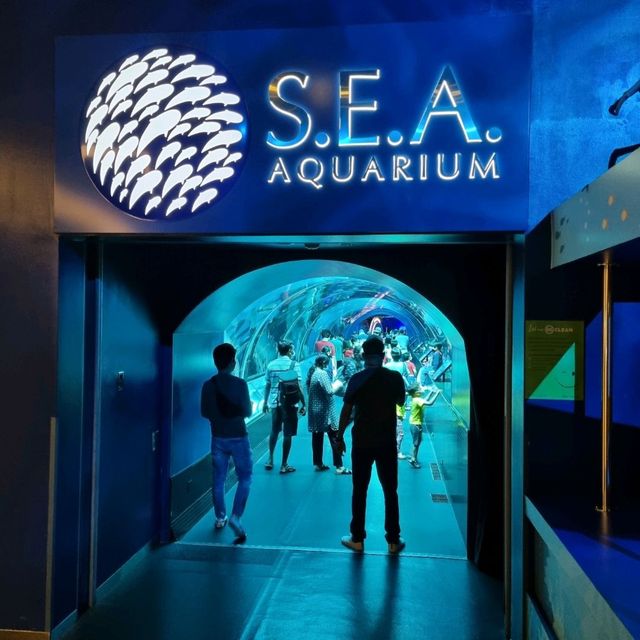 Fun Day @ S.E.A Aquarium 
