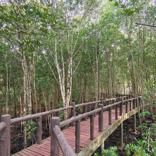 เส้นทางศึกษาธรรมชาติ อุทยานแห่งชาติหมู่เกาะชุมพร
