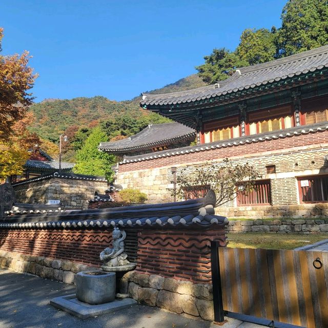 단풍여행 동학사