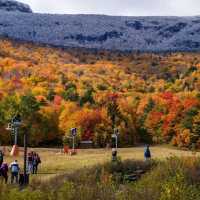 Best place to see fall foliage in East Coast