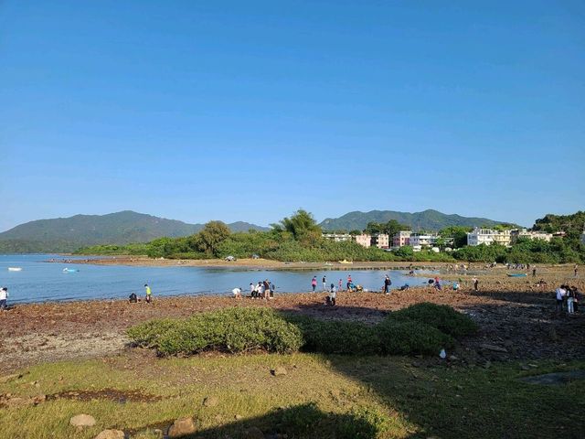 【CP值最高的紅樹林~泥涌🌴】