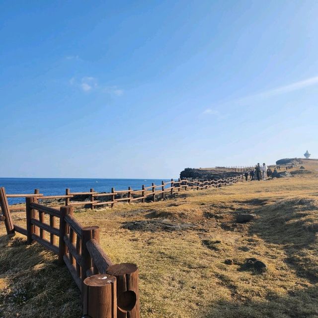 💙jeju💙 섬 안의 떠 다른 섬 💛마라도💛