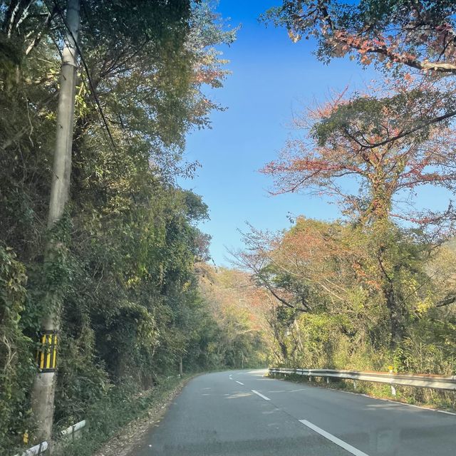 【兵庫県】秋の赤穂で絶景カフェと紅葉を楽しむ