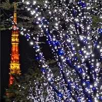 Winter Illumination @ Roppongi Hills 