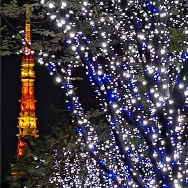 Winter Illumination @ Roppongi Hills 