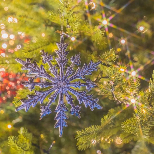 🎄해리단길 핫플 크리스마스로 가득찬 카페 [부산, 듀플릿]