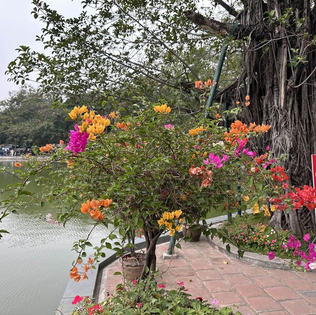 하노이 시티투어 