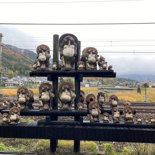 另一種體驗嵐山的方法 – 嵯峨野觀光小火車(嵯峨野トロッコ列車)