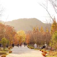 경주 단풍 명소 산림환경연구원 