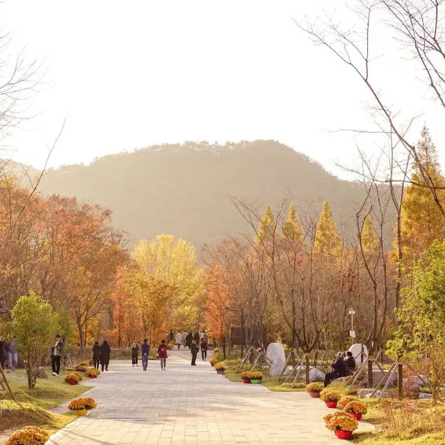 경주 단풍 명소 산림환경연구원 