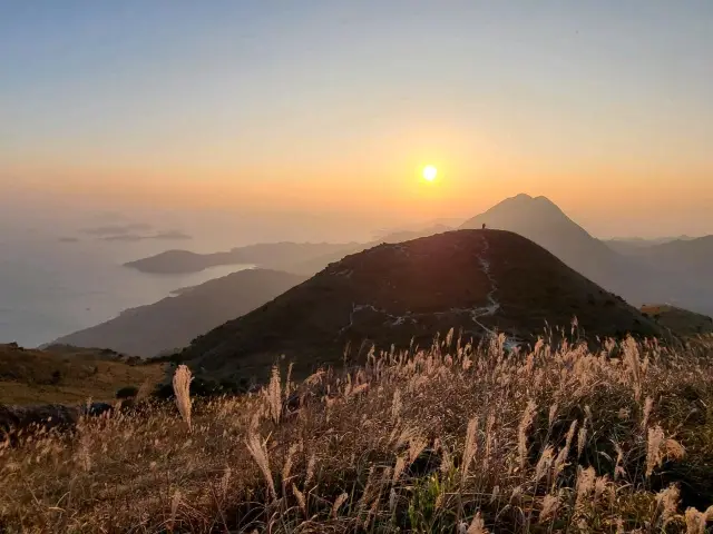 【秋冬賞芒系列~大東山🌾】