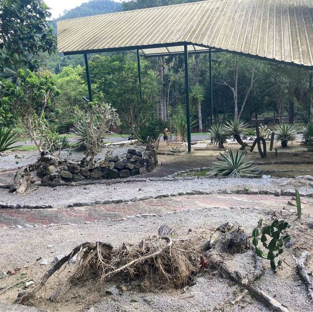 気軽に自然を感じられるパワースポット　ペナン植物園