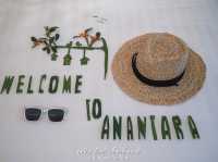 Pool Villa Anantara บ่อผุด สมุย