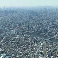 東京晴空塔💕一流東京景觀