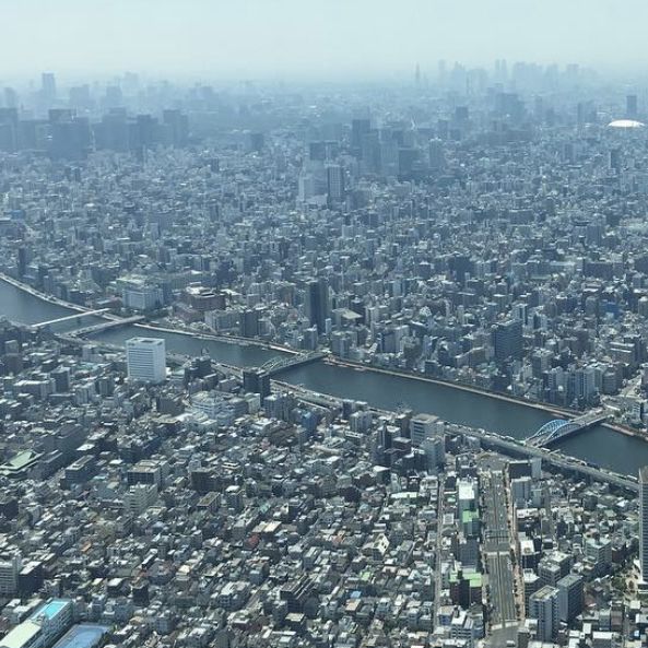 東京晴空塔💕一流東京景觀