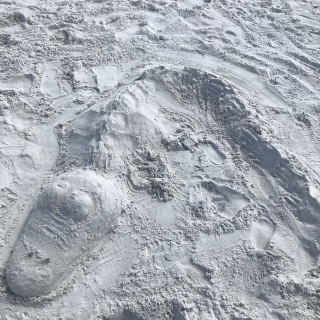 꼭가야할 세계 10대 해변 중 하나 클리어워터 비치 🏖