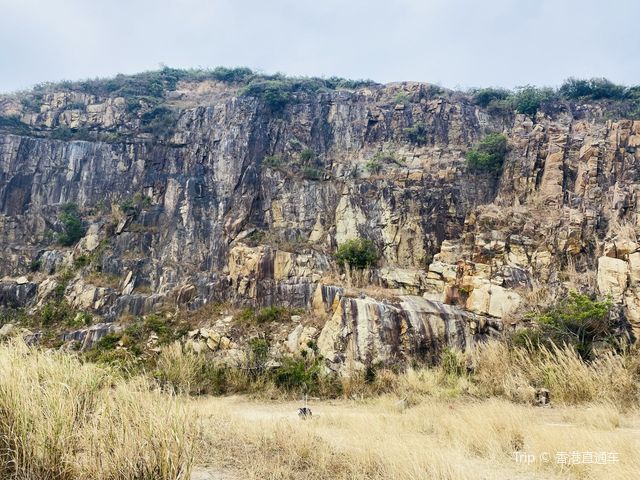 15分鐘行山郊野路線