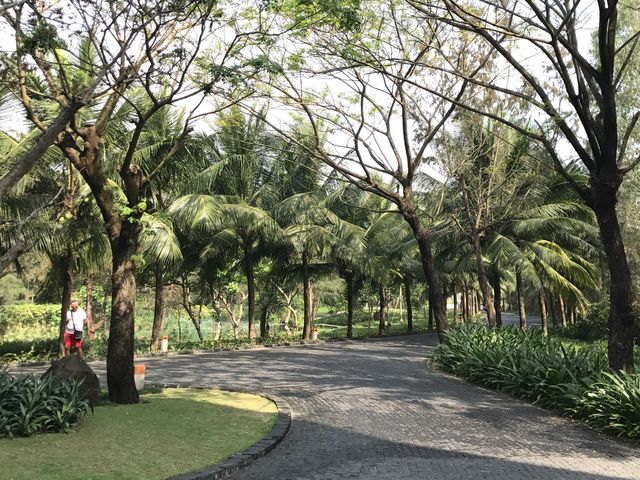[다낭]  멜리아다낭에서 한여름의 힐링 🌿🌴🥭💚