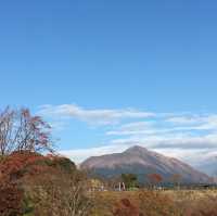 近距離遊覽活火山🌋