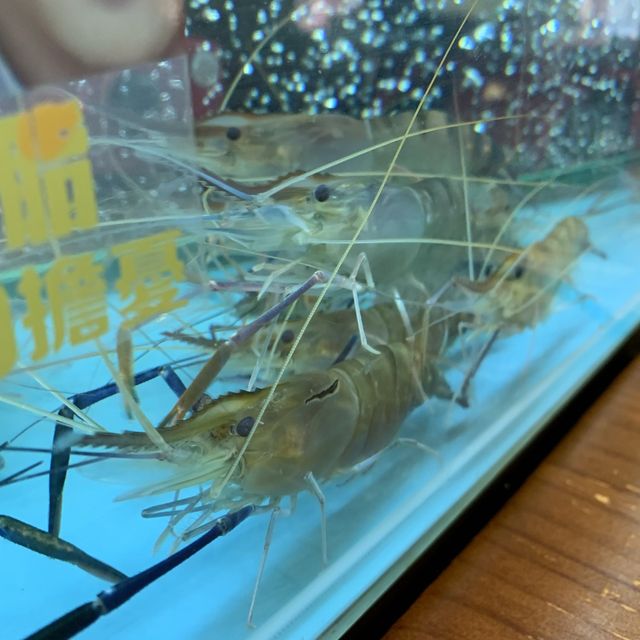 流水蝦放題｜蝦蝦燒